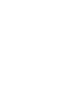 UMass